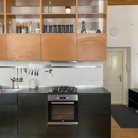 Old Town Loft * 布拉迪斯拉发